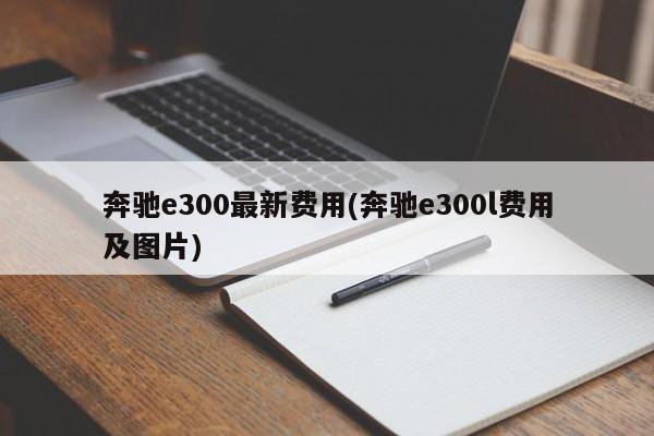 奔驰e300最新费用(奔驰e300l费用及图片)